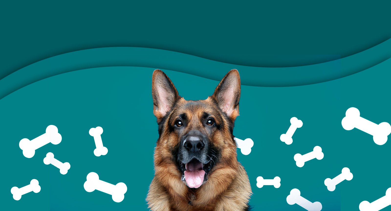 Vermífugo Top Dog Ourofino Para Cães De 30Kg