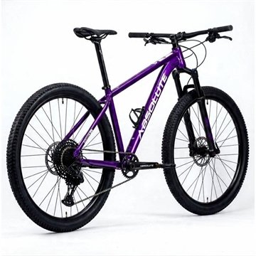 Bicicleta Absolute Nero Mountain Bike Aro29 Quadro Aço 1X12v Marchas Disco Hidráulico 720Mm