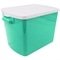 Porta Ração 15Kg Pet Pote Container Tampa Anti-Formiga - Verde - 3 Unidades