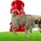 Hidrante Canino Poste para Cachorro Fazer Xixi Sanitário Pet