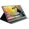 Monitor 15.6" Portatil 16T20e2/78, Full Hd, Painel Ips, 60Hz, Aoc