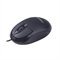 Mouse Maxprint Essential Mo1000 Com Fio 1200Dpi Preto