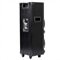 Caixa de Som Amplificada ACA 1101 Black Duplo 8 | AUX/USB/CARD, Bluetooth, 1100W RMS, Preto