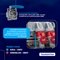 Plugue Industrial Tramontina 3P+T 16A 220-250 VCA 9H