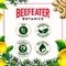 Beefeater Botanics Limão e Gengibre 750ml