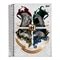 Caderno Espiral Jandaia Universitário Capa Dura Harry Potter 10 Matérias 200 Folhas - Embalagem com 4 Unidades (Sortidos)