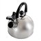 Chaleira Inox com Apito 2L Tampa Fundo 4mm para Cafe e Cha Aco Inox Moderna