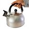Chaleira Inox com Apito 2L Tampa Fundo 4mm para Cafe e Cha Aco Inox Moderna